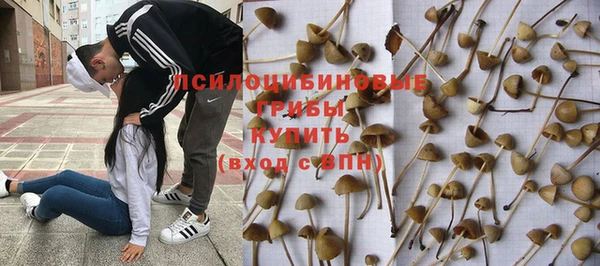 дживик Балабаново