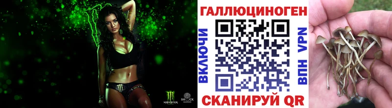 Галлюциногенные грибы мухоморы  Купить где  Семилуки 